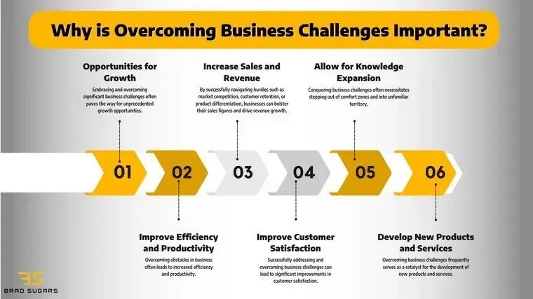 image c0d3833c 6bd5 4496 aa96 8bf9e164626a.webp