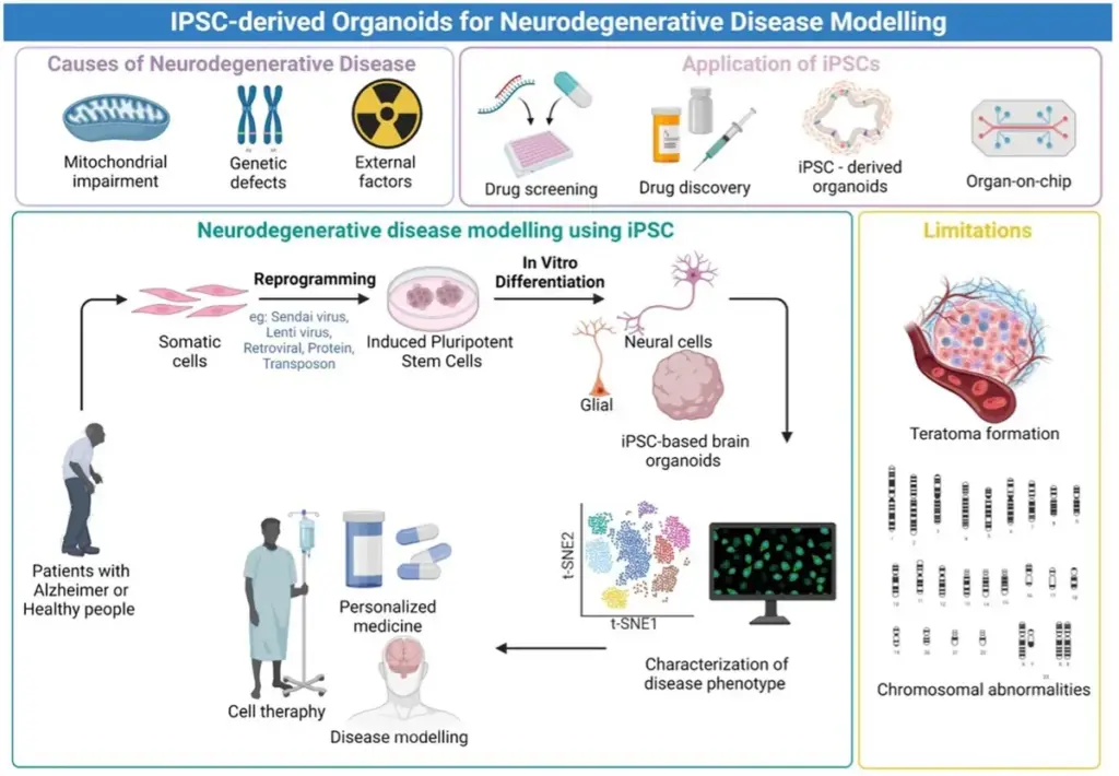 image c36583bb a784 4243 840a 23a884eb5195.webp