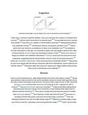 image c554e3a3 e685 4f6d 9db7 c8d6bcd0b7b2.webp