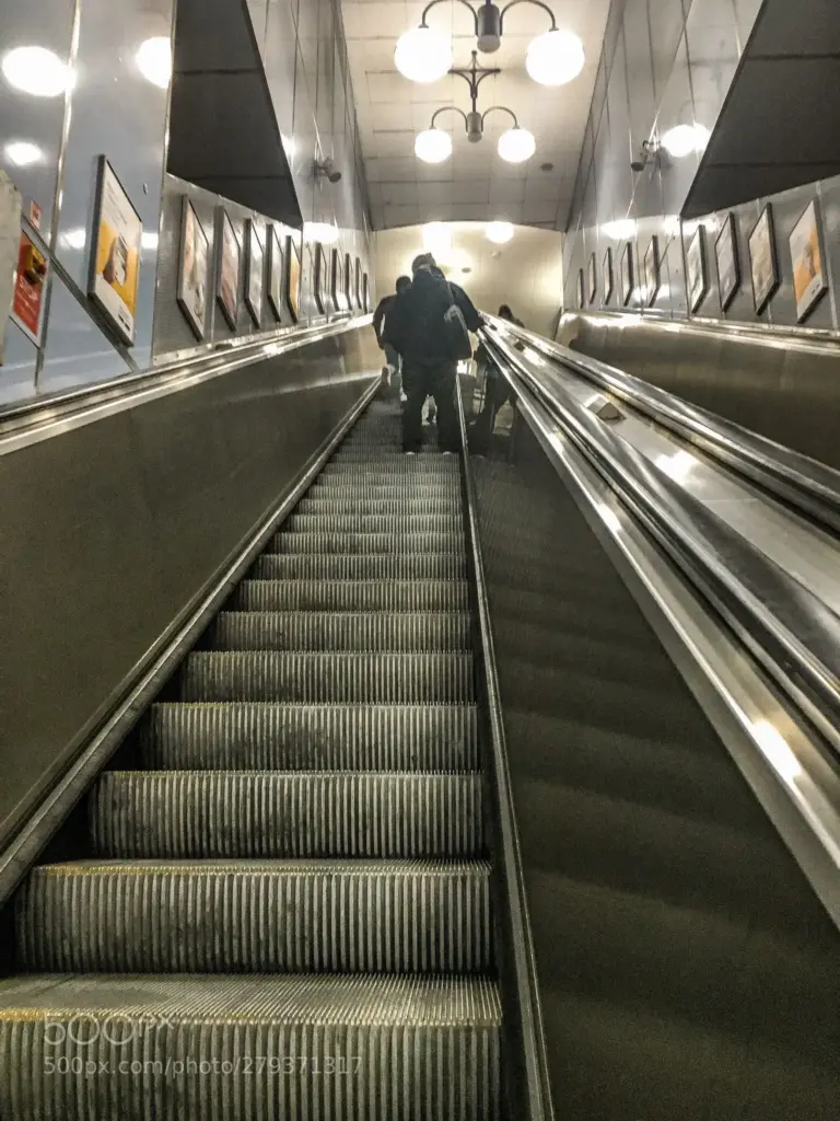 image c80ce3d9 cb6b 459b bdf1 e67c7277ff54.webp