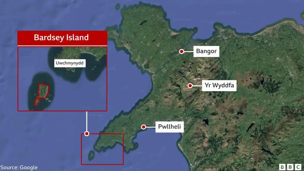 image c987a70f 7914 4933 bba9 10061eed3a71.webp