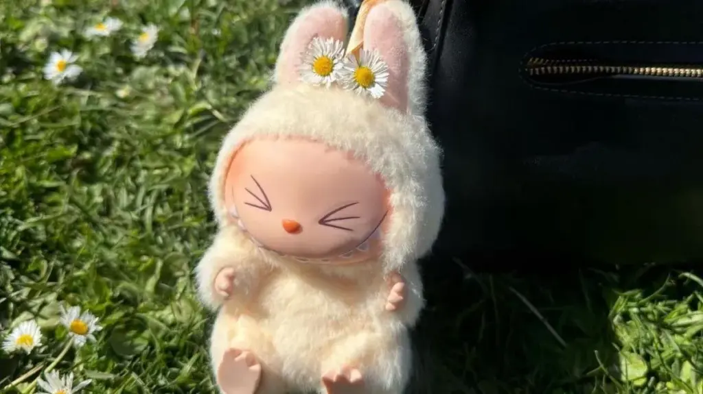 image cbedab64 204c 409f 94ba 60f4e6a7f3e1.webp