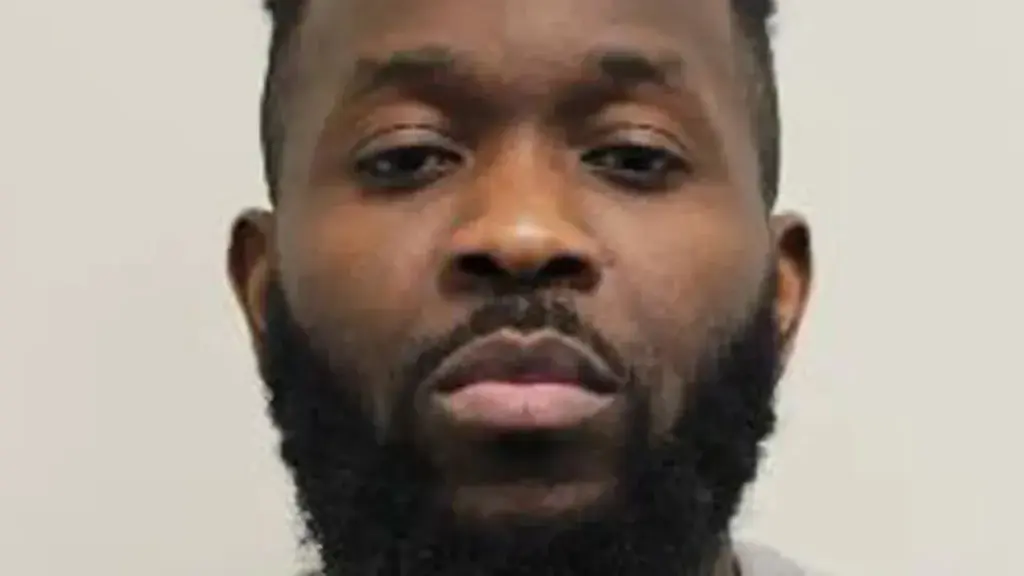 image ccafdf56 2eb0 4cbf 9a68 1793fd1ed74f.webp