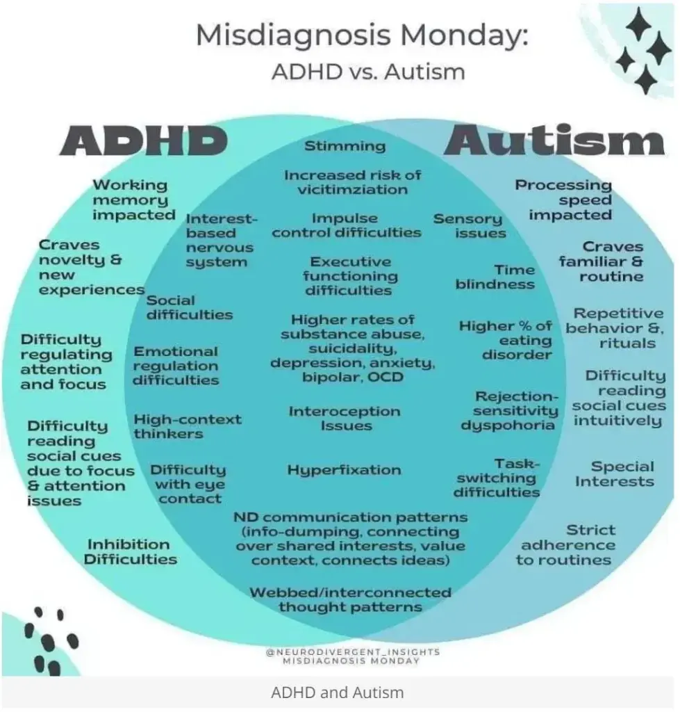 image ceca2ea6 44b8 4ff6 89cc ce7b175a9c53.webp