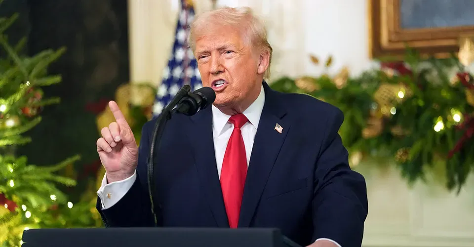 image d446a64c b411 43c6 8d68 57e4b14237e4.webp