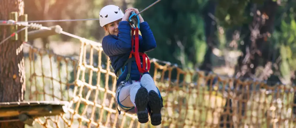 image d5394fcc 8d3c 4f9c 93d1 3d21c6865d9d.webp