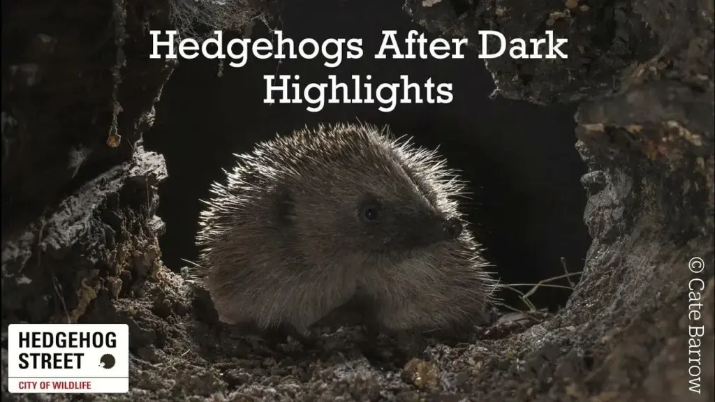 image e6a5d519 7682 4a58 be30 b690ad170d27.webp