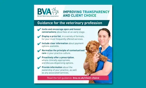 image ea9d8788 3b5a 41cb 9d36 f575da2cc3de.webp