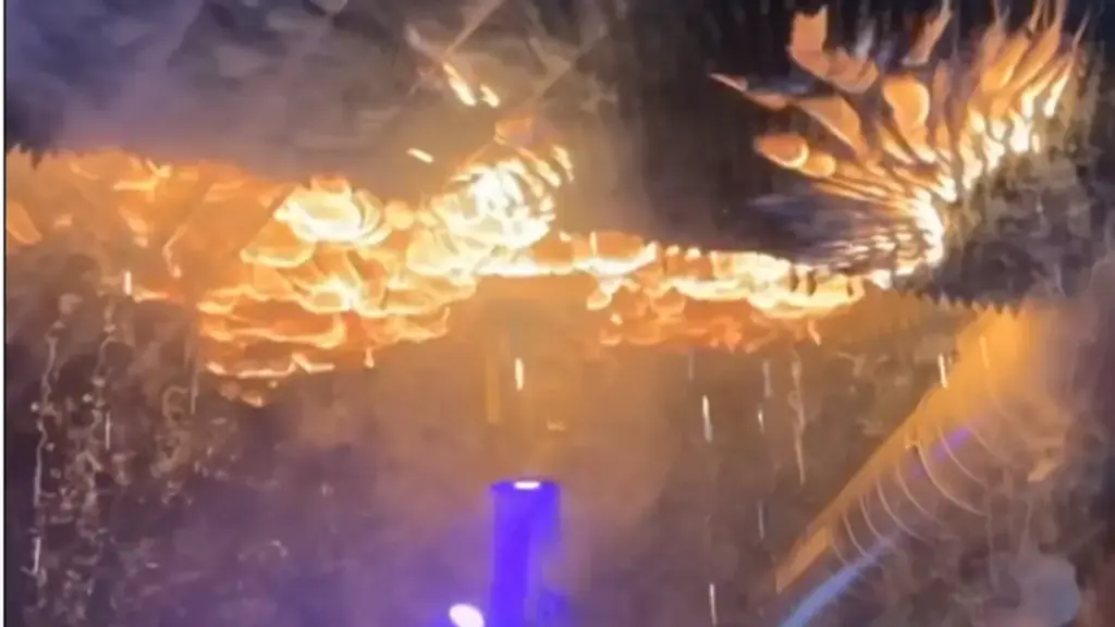 image eb65a2bb d50d 4d4f a202 51c705d18e39.webp