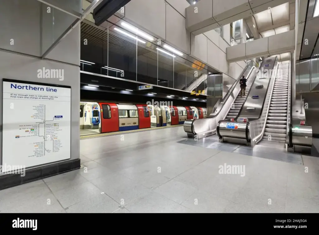 image ed06e481 7f52 4cd6 9c73 50e58261b5a4.webp