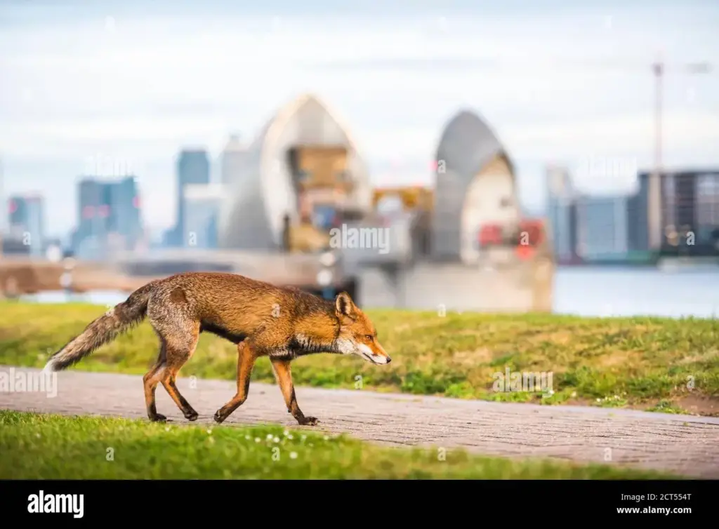 image f0dbb2e7 9e3d 4b35 b98e c2eea1f804fa.webp