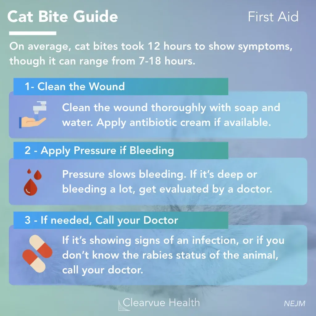 image f5613fa5 30c9 4ce7 abba 0f448bc06687.webp