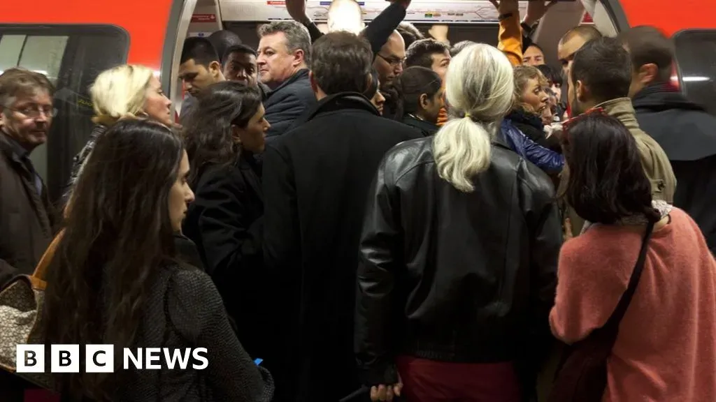 image fcf22259 559d 4f49 8d2a a21328288f01.webp