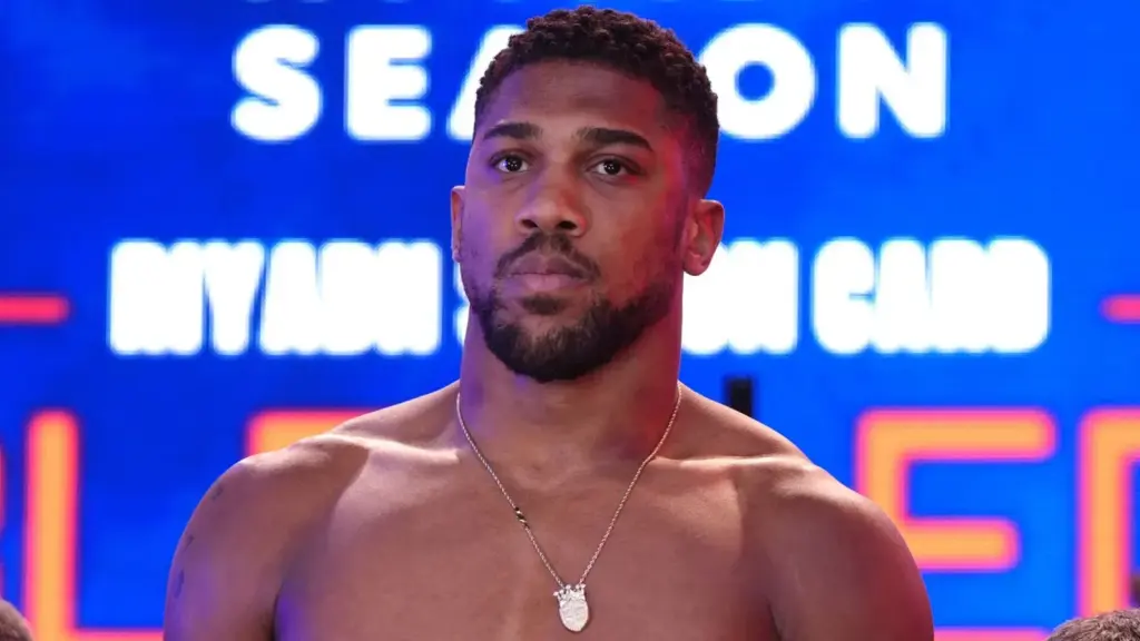 image fe546651 8b8e 43d2 a5e2 e4ca3d9bf59c.webp