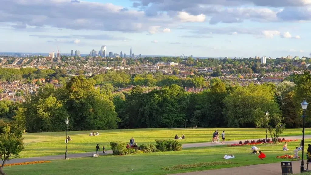 image ff36c442 67cf 475d b44f 4def88b8e4cf.webp