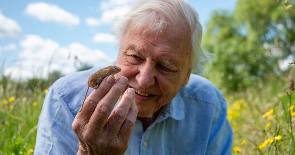 0 sir david attenborough.jpg
