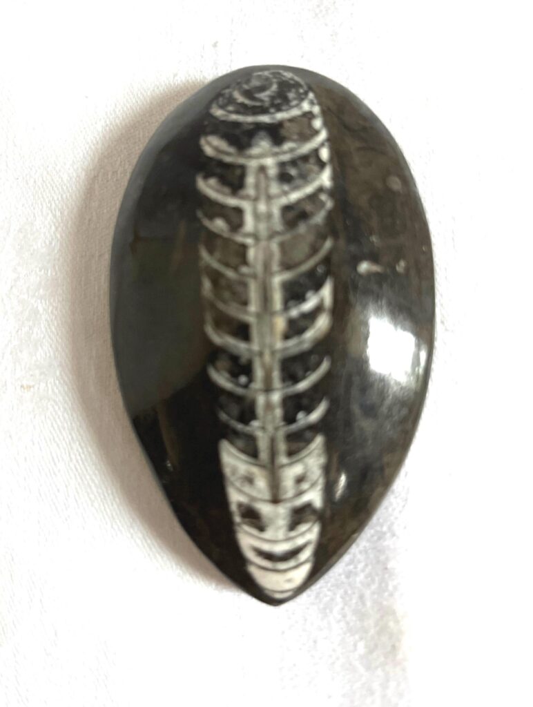 il 1080xn.6628490218 88n9.jpg