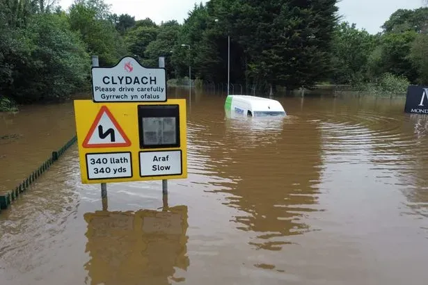 image 1424dfb3 94f2 49d8 a797 0f2173923fe3.webp