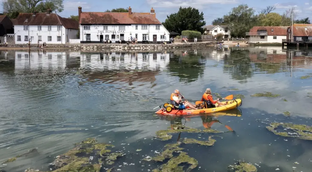 image 211e986b f1cb 4b75 86a4 36466e53cf2d.webp