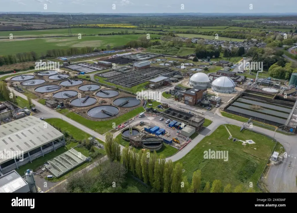 image 38e631da 1308 4f12 89ee 622971b2e71b.webp