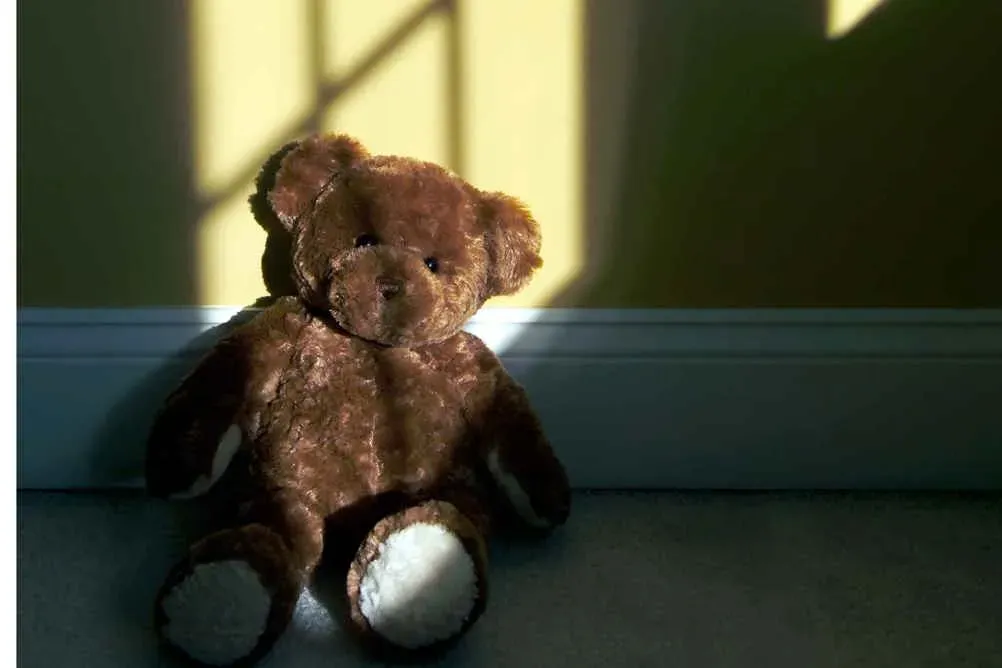 Bright Horizons Nursery Abuse: Families Demand Accountability and Justice image 3e353d9f 2d4c 49b7 a4fa 7dadd486cefc.webp