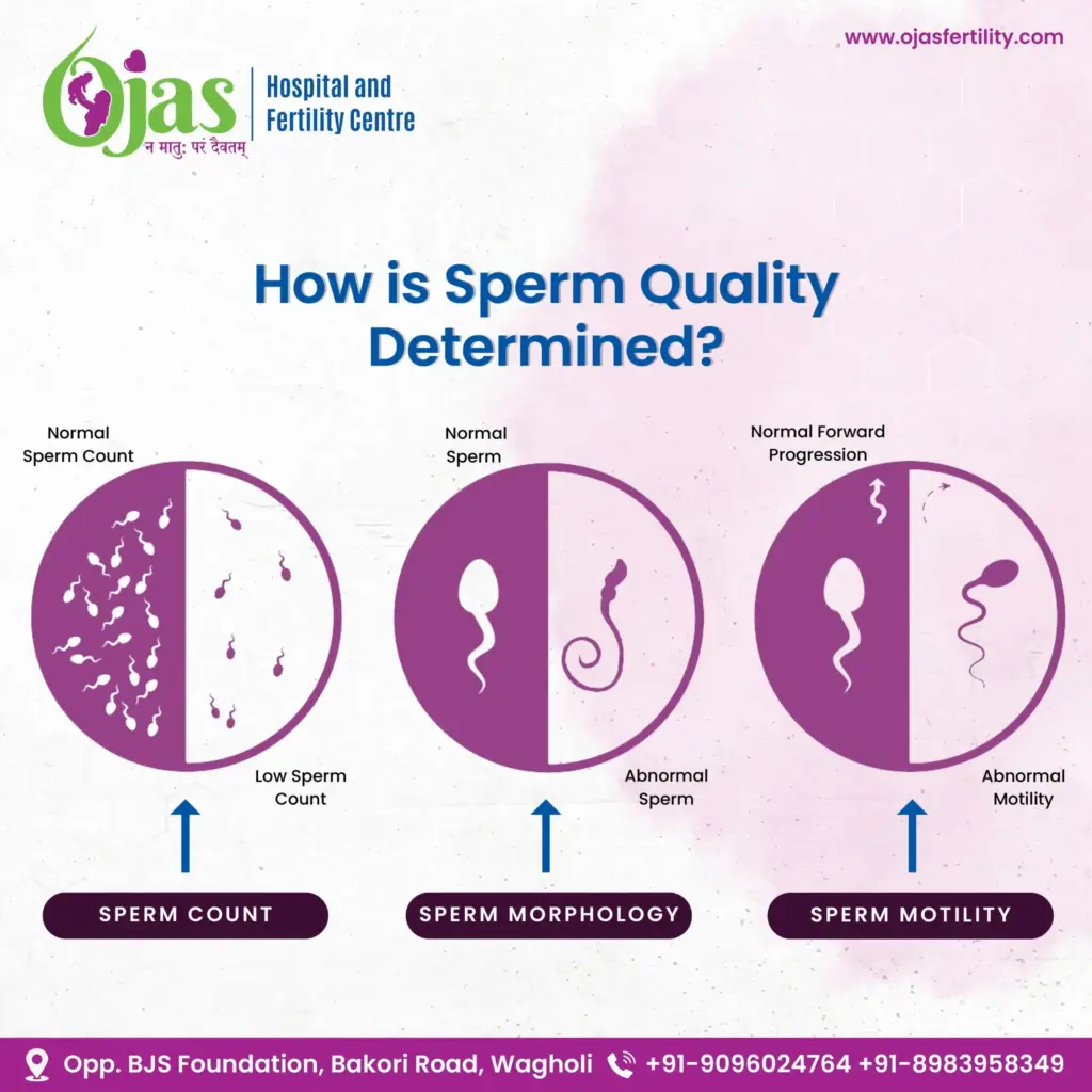 Sperm Quality: Discover Why It Peaks in Summer and Dips in Winter image 3fdd9cb0 ef40 4c28 86f8 78a773ebb0e9.webp