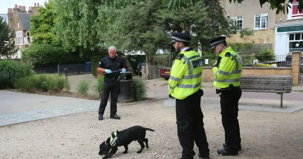 image 41842f00 a531 4bb4 a996 f3aa2d8f2272.webp