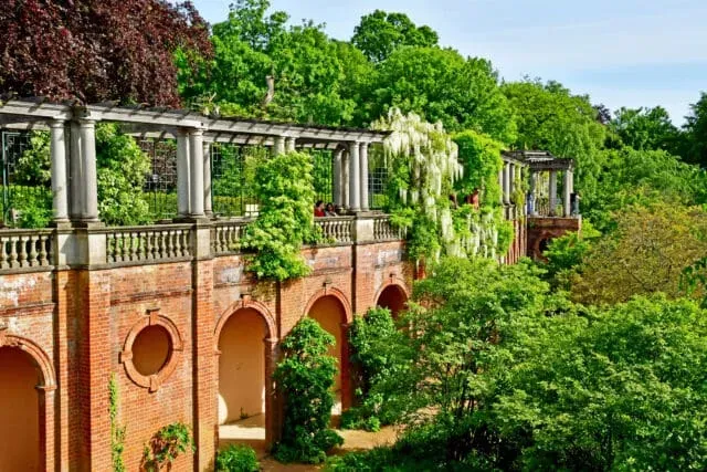 image 4c4ee905 5dfb 45b4 8dc0 39f85961867a.webp