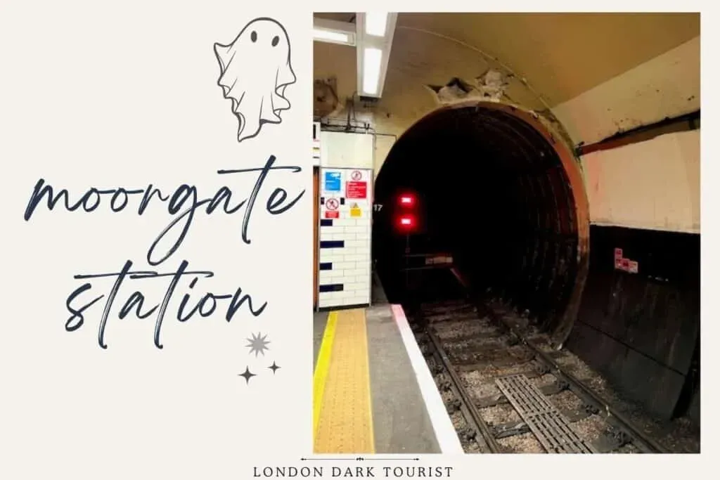 image 510ff876 b31d 4674 9dff 8f4cf7b7a83a.webp