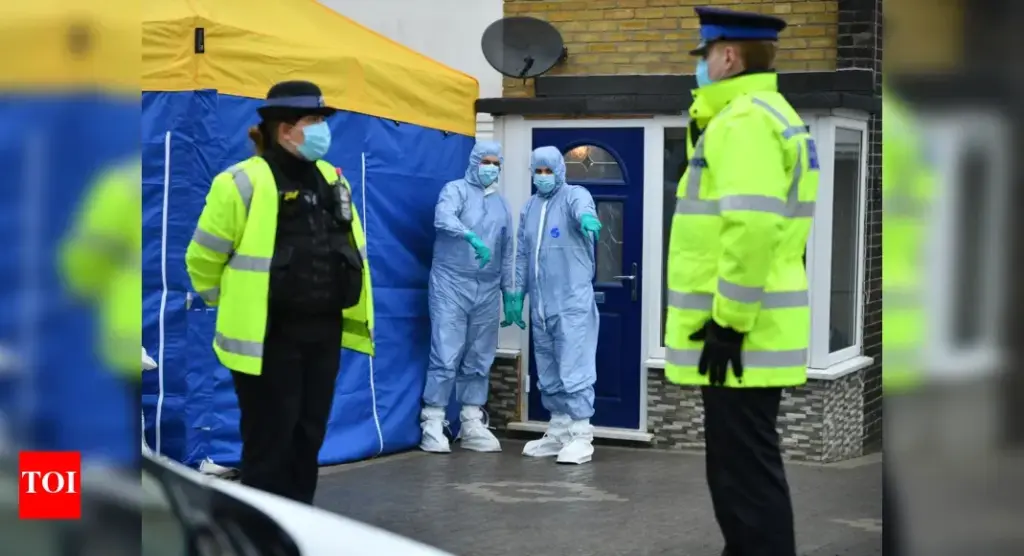 image 5a39d18b 9e9d 4337 904e 003d239428d4.webp