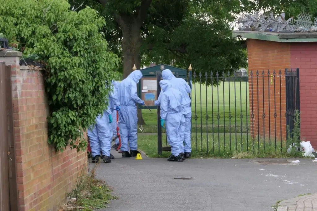 image 70a8ded7 c43e 4053 95e0 e8409480637e.webp