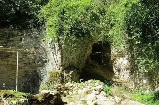 Cave Sentencing: Controversial Ruling Sparks Outrage and Debate image 8d0687ba ceed 4a09 9ca0 82a2c5101ac7.webp