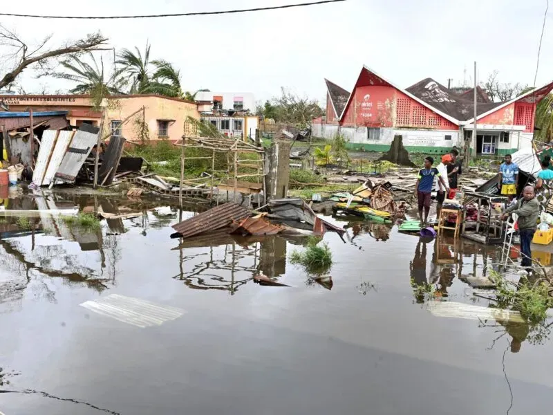 image 965344ea 0905 4129 99a1 38e1debe6141.webp