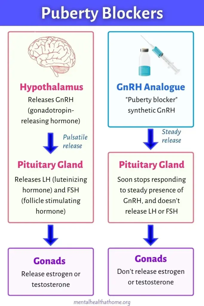 Puberty-Blocking Drugs: What’s Stopping the Clinical Trial for Kids? image 96e965cf 89a0 4f4b 89d7 2fd3ee06f9d4.webp