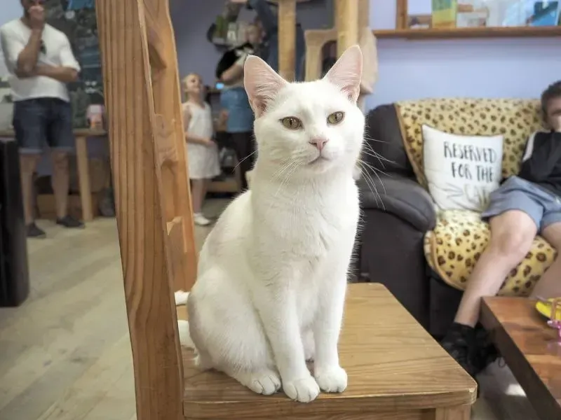 image a2372b05 07cd 4fee a11c 172e97c69671.webp