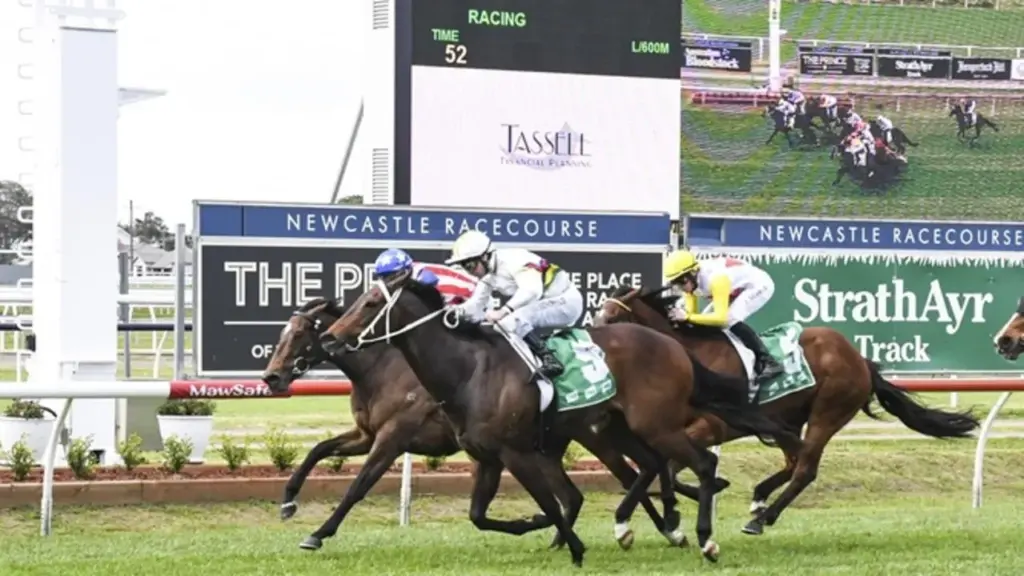 image a4130465 560f 4958 afc0 645c2976c6d5.webp