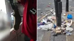 Petticoat Lane Food Court: Are Rats and Rubbish Ruining Life? image a779ee38 5d53 44a7 a5f3 0bde50bf00d9.webp