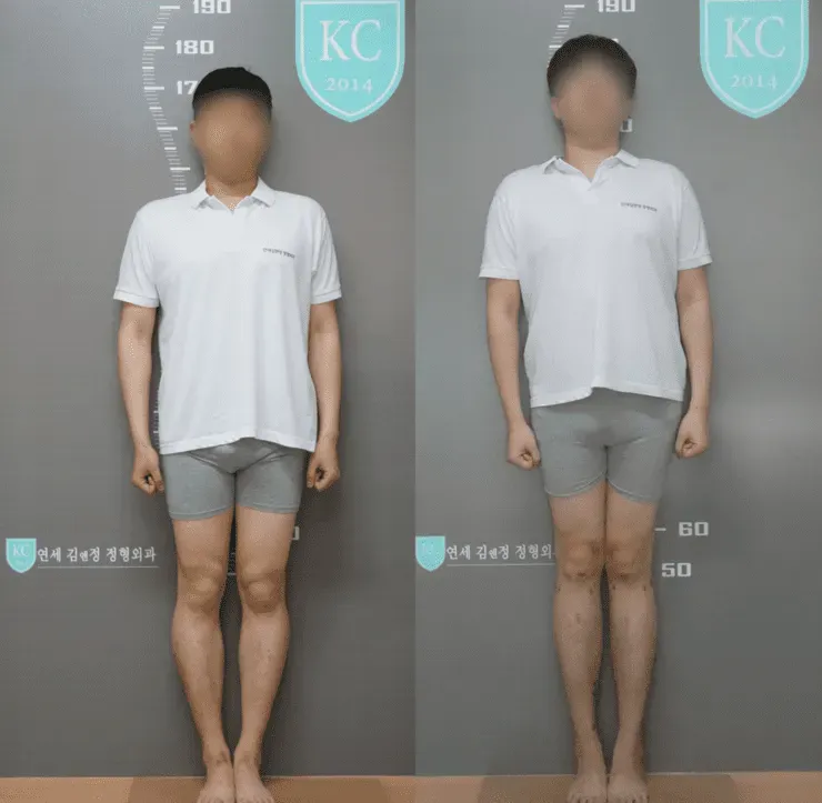 image accc2bda 4b63 46b7 98c2 7564dd3bc03d.webp