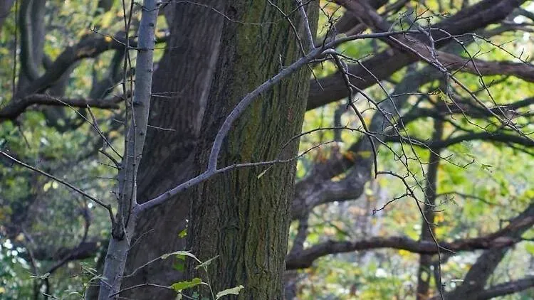 image b24924f2 e634 48ec 9cab 18f8c24cf990.webp