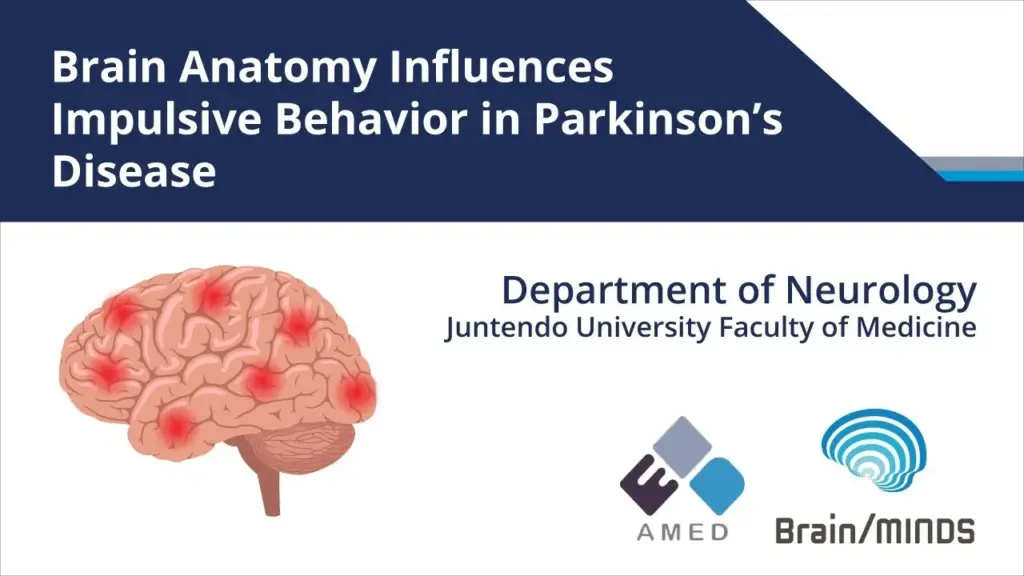 image b6cacd91 aa46 4df3 abe9 76bce0d0f815.webp