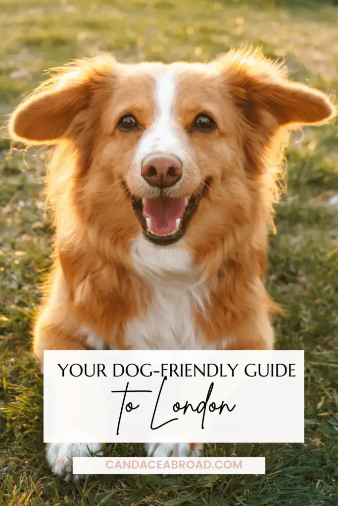 image c1812a53 b0f3 4e55 a63d c0fddab83806.webp