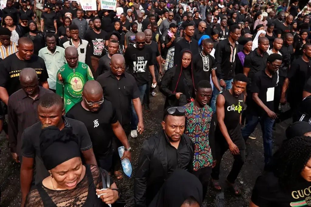 image ed98dddb c72a 43aa 88ba e9dc49e74e80.webp