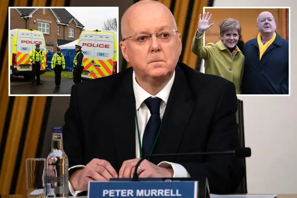 image ee85953e 4f5d 4542 b294 9cd82e9391fe.webp