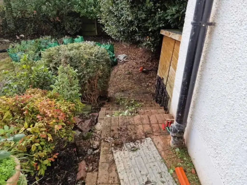 North London Garden Safety: How a Crash Shook a Family's Home image fb1fb32d 86e2 436b b075 bfbfa3ef6470.webp