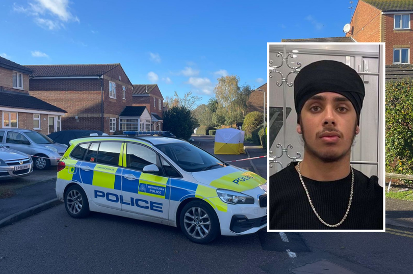 1 untitled design 20.png