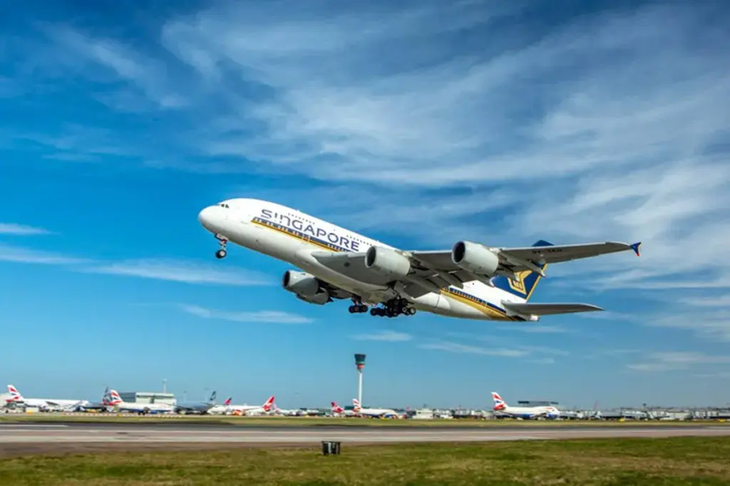 image 12eed5b3 4b12 45cc b2d1 a759ccd0323d.webp