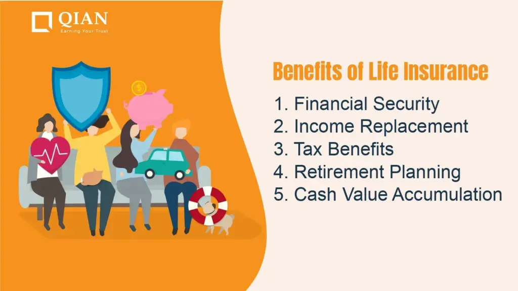 image 29c89a1a 09f6 4af5 889d 6a728eac2f6f.webp