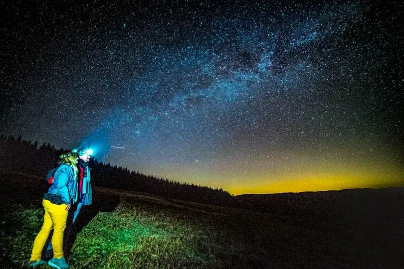 image 77672dae 4776 4a3e 86a7 8b270f79f245.webp