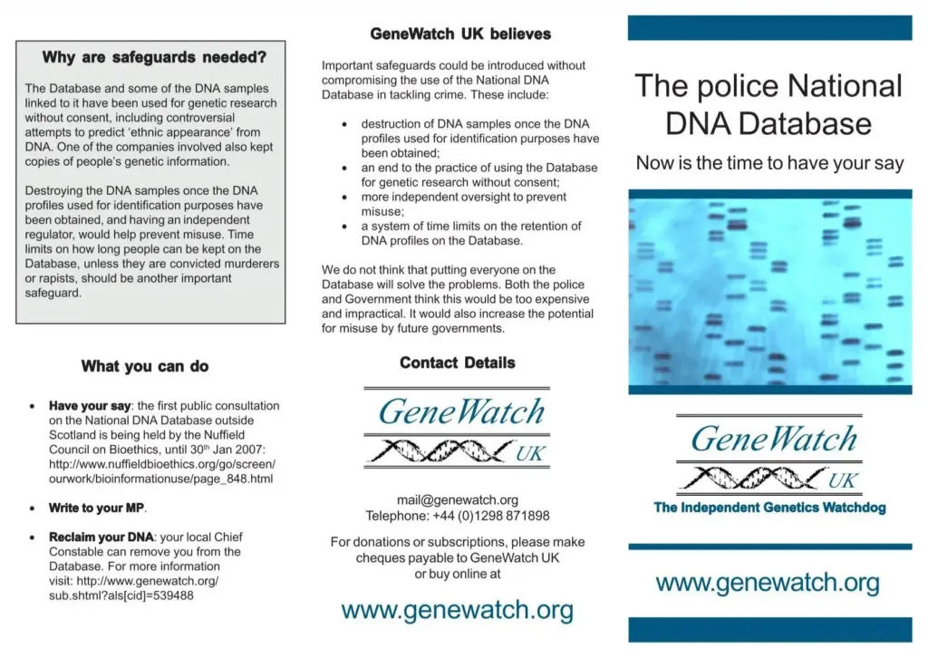 image 81fe29a3 d4e1 43bd a265 150072efdb1a.webp