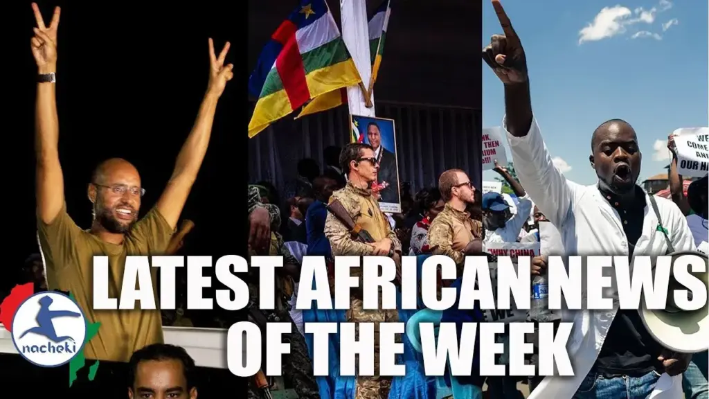 image af98dc85 28a9 4fd3 a6ef bf07cfc4dc10.webp